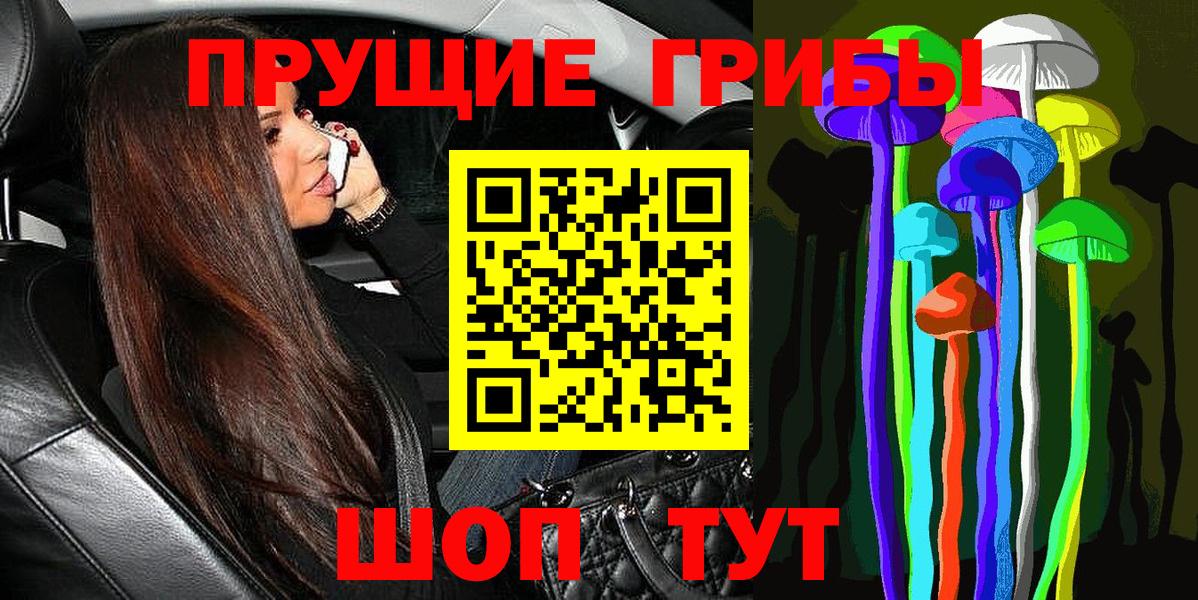 Псилоцибиновые грибы MAGIC MUSHROOMS  Вход с VPN  Псилоцибиновые грибы Psilocybe  Зеленогорск 