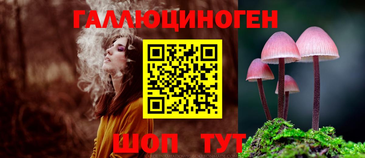 Псилоцибиновые грибы MAGIC MUSHROOMS Зеленогорск